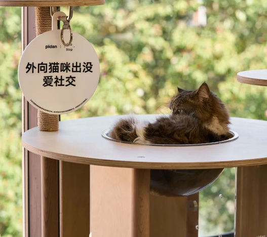 一尺花园 X pidan：一片因爱而生的猫咪自留地