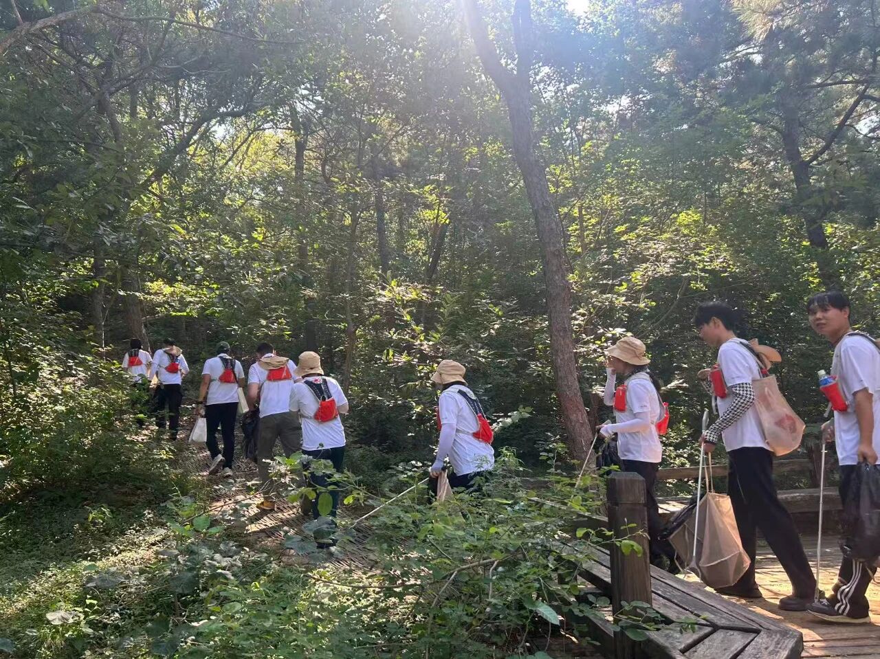 一尺花园的“扫除道”文化：每一次弯腰，都是对城市美好环境的守护