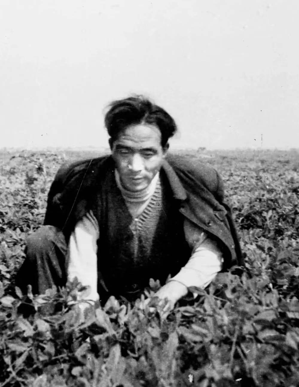 微信图片_20240515203908.jpg