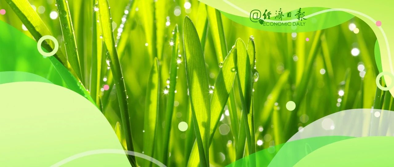 微信图片_20250325194408.jpg
