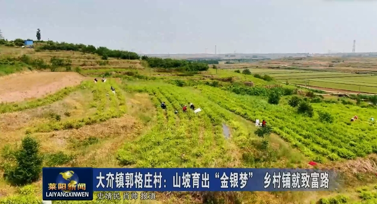 微信图片_20250618173534.png