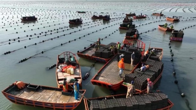 山东工行:金融赋能“蓝色引擎” 激活发展新动能