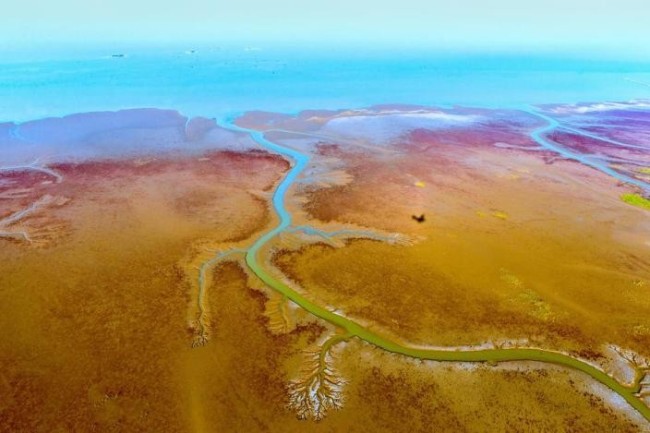 山东工行:金融赋能“蓝色引擎” 激活发展新动能