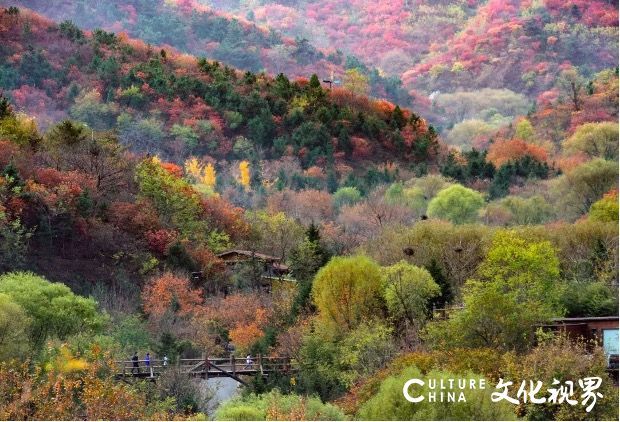 20251020093954661014.jpg 1.jpg