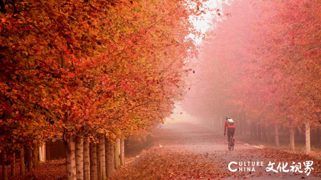 20251020094006723683.png 4.png