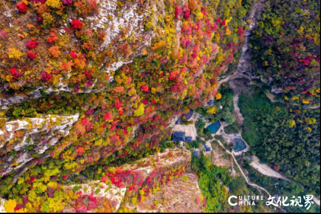 20251020094011506506.png 5.png