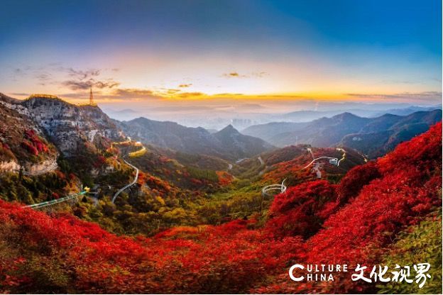 20251020094015135711.jpg 6.jpg