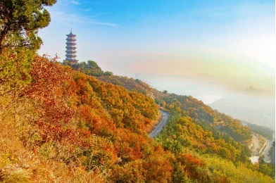 20251020094020374505.jpg 7.jpg