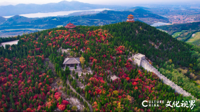 20251020094023233396.png 8.png