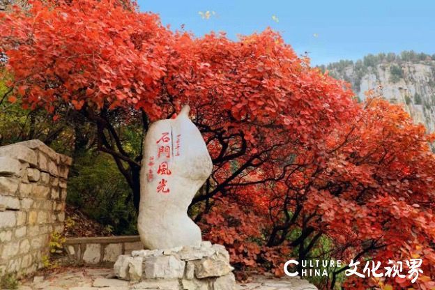 20251020094030996361.jpg 9.jpg