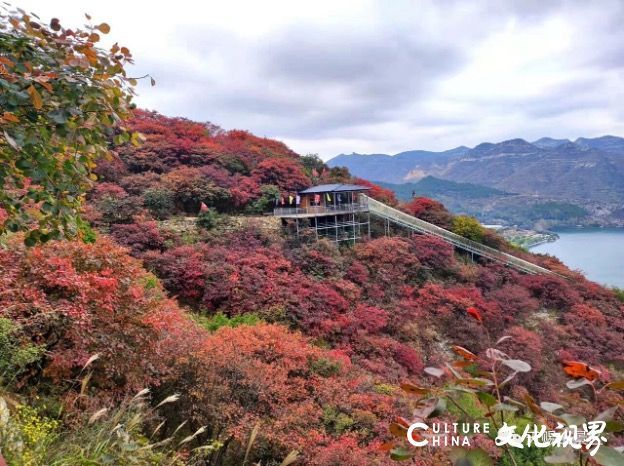 20251020094034485557.jpg 10.jpg