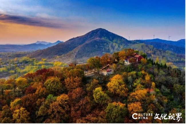 20251020094042438065.png 12.png