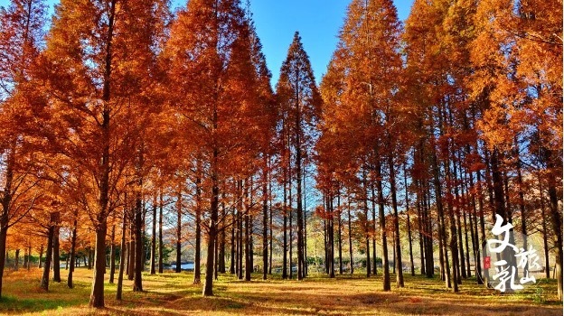 20251020094051162219.jpg 14.jpg