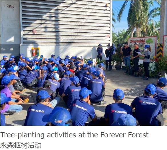 碾过岁月,链接未来——玲珑50年:从招远田埂到全球版图,用车辙串联起全球的“共生故事”