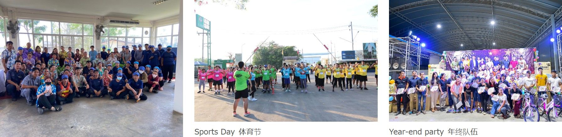 碾过岁月,链接未来——玲珑50年:从招远田埂到全球版图,用车辙串联起全球的“共生故事”