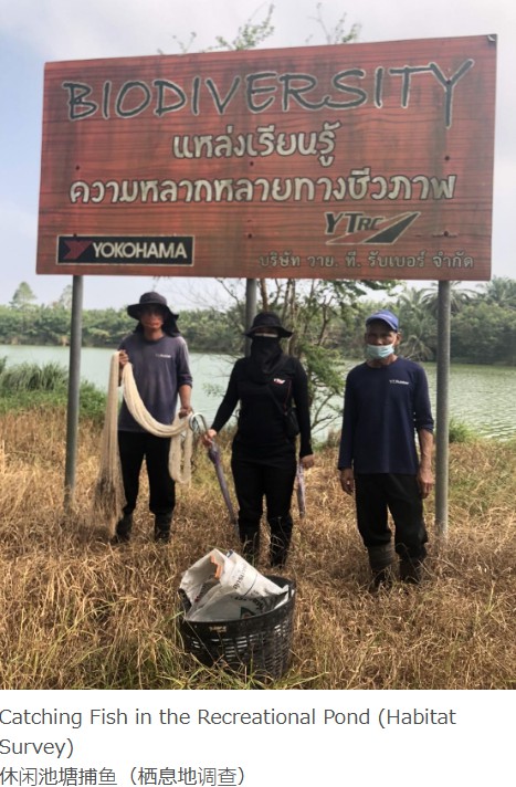 碾过岁月,链接未来——玲珑50年:从招远田埂到全球版图,用车辙串联起全球的“共生故事”