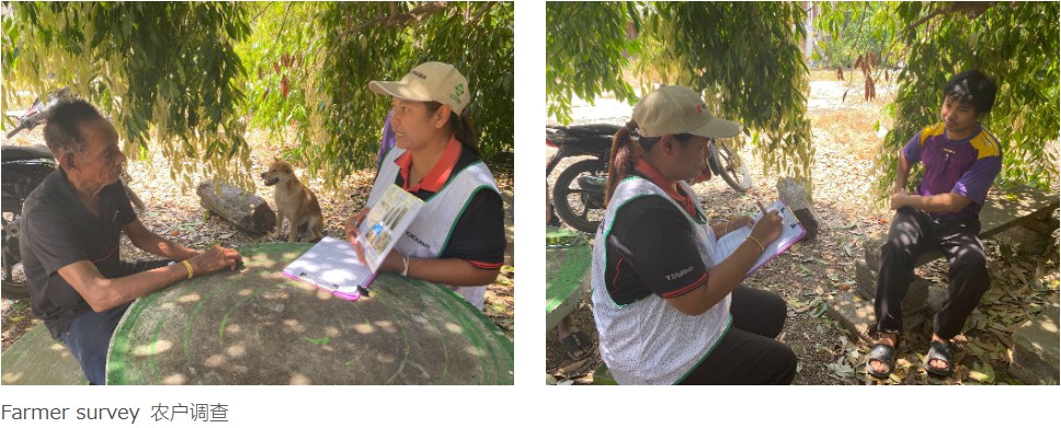 碾过岁月,链接未来——玲珑50年:从招远田埂到全球版图,用车辙串联起全球的“共生故事”