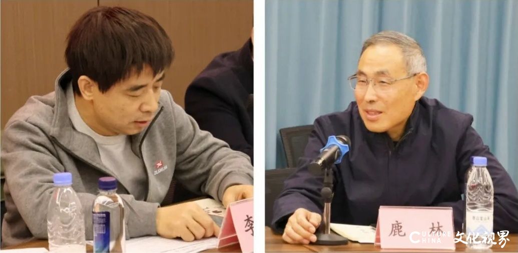 山东省齐鲁文化传承发展促进会专门委员会工作座谈会昨日在济南召开